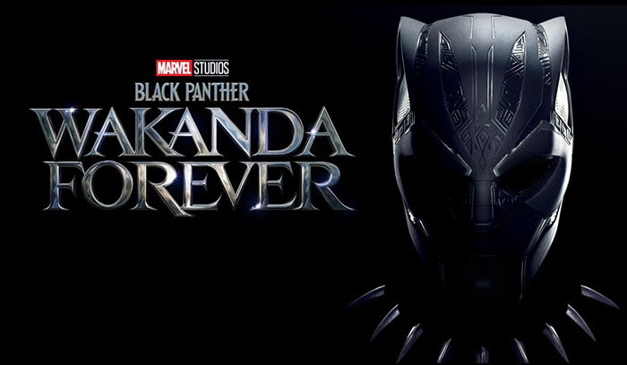 Black Panther: Wakanda Forever (DVD Filme)